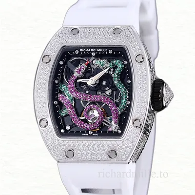 Richard Mille RM 026 Unisex Automatic Rubber Band Transparent Dial Stainless Steel