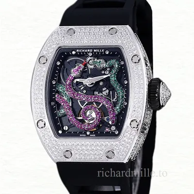 Richard Mille RM 026 Unisex Automatic Rubber Band Watch Stainless Steel