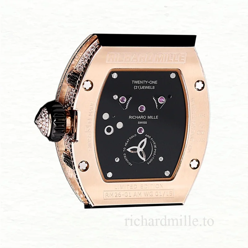 Richard Mille RM 026 Automatic Unisex Stainless Steel Transparent Dial Watch